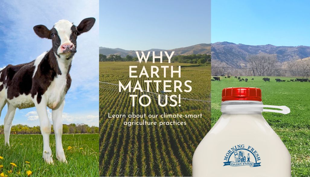 Climate Smart Agriculture Practices Morning Fresh Dairy