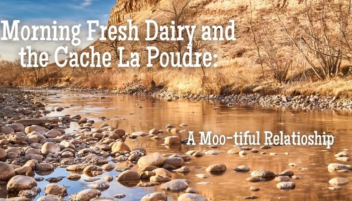Morning Fresh Dairy and the Cache La Poudre